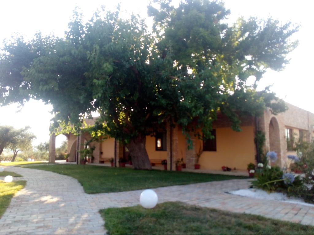 Agriturismo Piccolo Albero Loreto Aprutino Bagian luar foto