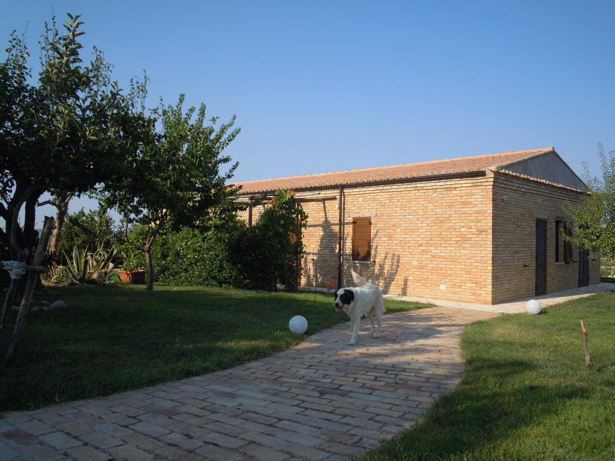 Agriturismo Piccolo Albero Loreto Aprutino Bagian luar foto